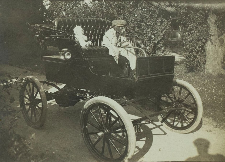 Teddy bear drives the carriage